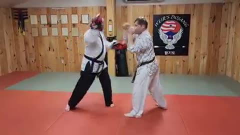 Hapkido