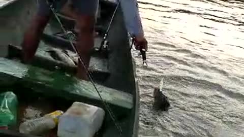 Pesca com parceiros é assim ... pega e o outro ajuda 🎣