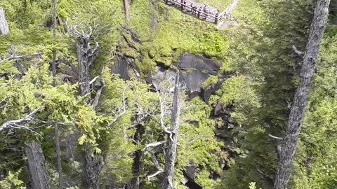 Narada Falls, Mount Rainier National Park, Washington 6/23/23