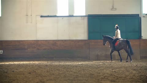 Slow Motion Wide Shot Riding Horse Galloping