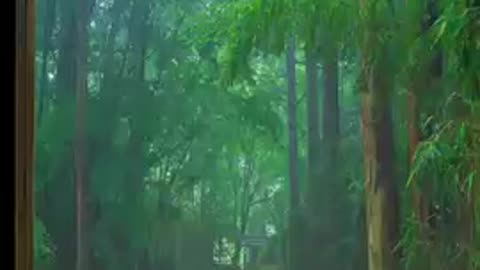 Beautiful rain sounds