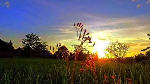 Glorious Morning Light