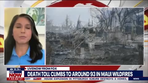 No sirens in Maui fire_ 93 dead as questions raised about emergency alert system _ LiveNOW from FOX