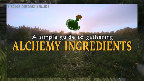 KINGDOM COME:DELIVERANCE|I CREATED A SIMPLE GUIDE FOR GATHERING ALCHEMY INGREDIENTS.