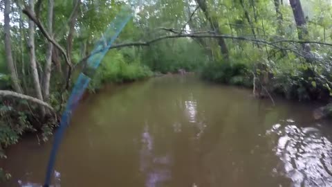 Caterpillar Creek Fishing (Obed Creek)