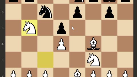 Amateur Chess - Fourth Chess Game