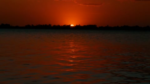 warm sunset in summer .