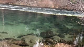 Exploring the Gorgeous Shoreline of Wild Metolius River – Central Oregon