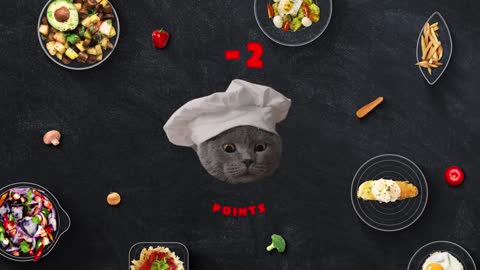 The Cat Cooking Show