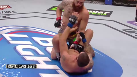 Travis Browne Finishes Brendan Schaub