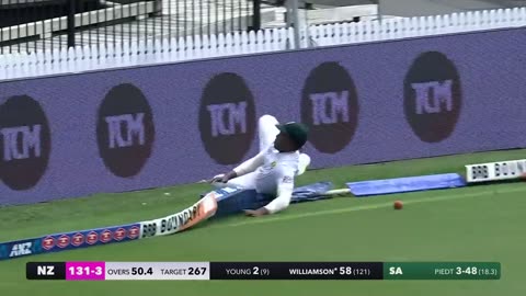 NZ vs SA 2nd Test 2024 -Day 4 Highlights