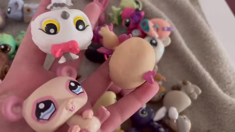 How I clean my littlest pet shop