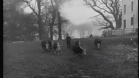 Farmer Moving South 1952