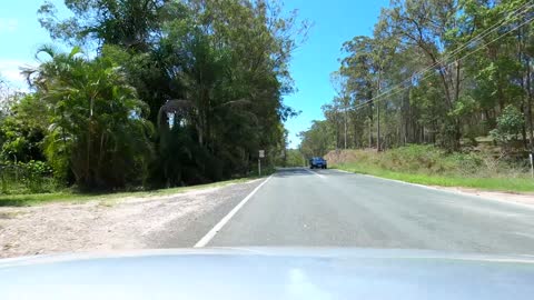 Driving Down Queensland Mountains || AUSTRALIA || GOLD COAST HINTERLAND