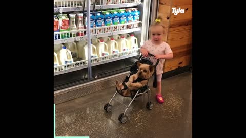 Dogs being best friends with babies😂😂😍🐶