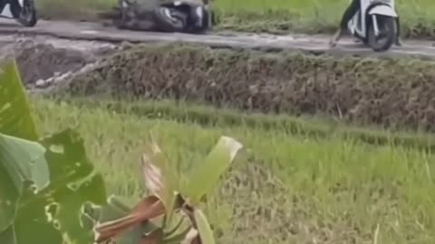 Akibat kemacetan, pengendara motor melewati salah satu jalan tikus di kawasan Canggu, Bali.