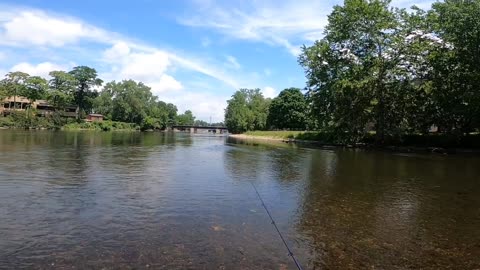 Smallmouth Bass Fishing Shallow River