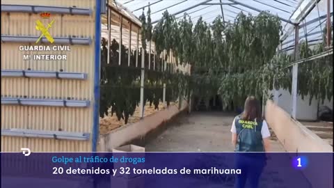 MARIHUANA: Intervienen, en ESPAÑA, 32 TONELADAS con un valor de 180 MILLONES de EUROS