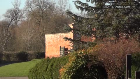 Searching for The Victorian Kitchen Garden