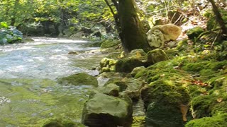 A calm presence and flow of the river bei