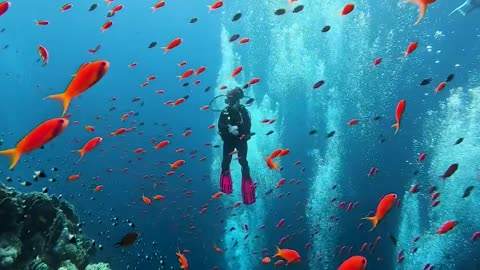 Wooow underwater view😯😯😯😯