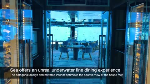 Underwater restaurant in the Maldives | Surreal fine dining experience