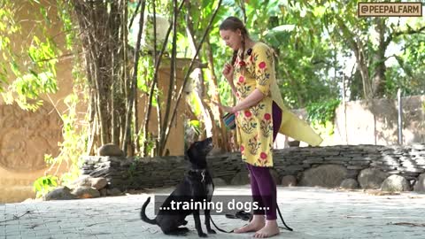 Welcome to the Peepal Farm Helpline! | Animal Rescue | Dog Training | Animal First Aid