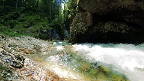 Natural Sounds of a Forest River & Bird Sounds for Good Sleep and Study