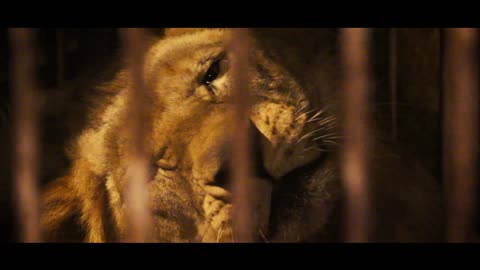 Lucky Irani Circus Documentary" featuring a lion trainer