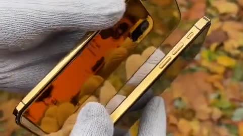 iphone_XS_Max_Golden_Case___Guess_The_Real_or_Fake_Golden_Case_