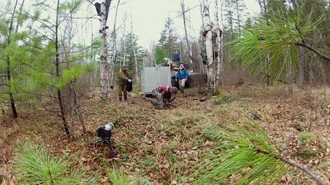 Siberian Tiger Released - GoPro Hero