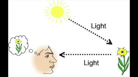 Consciousness Experiences The World 'Out There', In The Mind