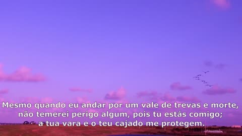 SALMOS 23