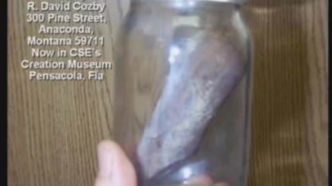 Kent Hovind shows many great examples of fossilization and,