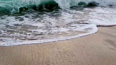 The waves washed against the beach