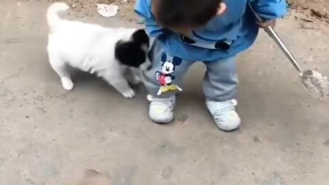 Watch.....Dog and small boy funny moment🤣