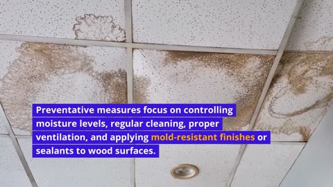 How to Get Rid of Mold on Wood