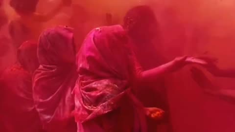 vrindavan holi mahotsab