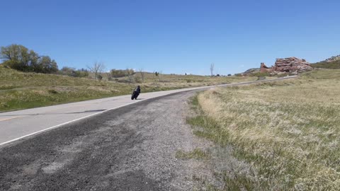 South Valley Park Littleton wait for the motorcycles great sounds