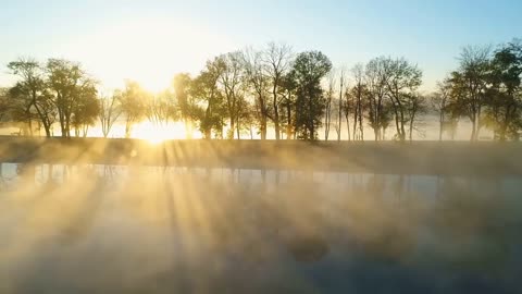 Enchanting Autumn Forests with Beautiful Piano Music