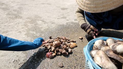 Binh Thuan Fishing Village