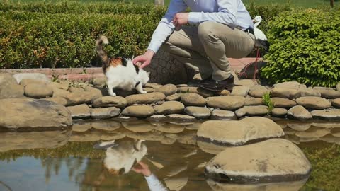 The man strokes the cat near the pond in the garden