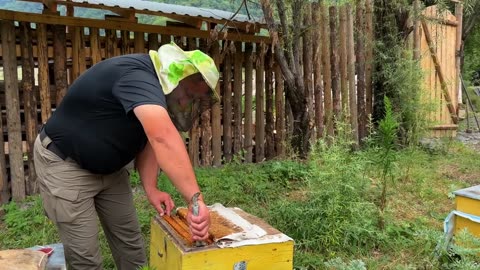 Cooking Atlantic Salmon in the Wilderness Village! This is an incredibly delicious fish!