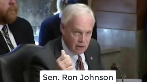 Ron Johnson Castigates Biden Over Border: 'It's Insane What We've Done Here'