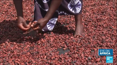 Ghana and Ivory Coast reach deal on cocoa standoff