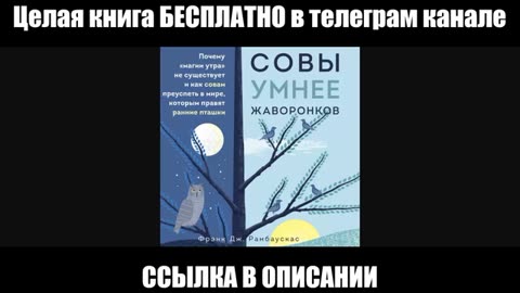 Совы умнее жаворонков. Почему «магии утра» не существует и как совам преуспеть в мире