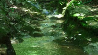 Relaxing Forest Nature Sounds Soothing Natural Sound of Water Relaxation