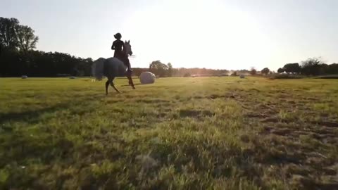 most beautiful horse riding #Status#Latest Nature Video Full HD