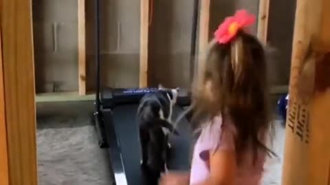 cat teaches a little girl how to use a treadmill