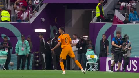 Gakpo strikes again _ Netherlands v Qatar _ FIFA World Cup Qatar 2022